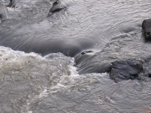Image of Haw River water currents